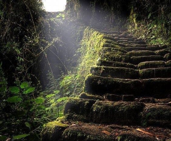 Inca Trail Private 4 days / 3 nights