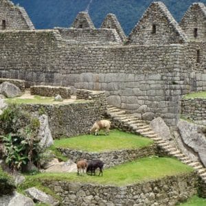 machu-picchu